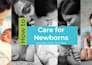 create healthcare, nursing, skincare, and beauty online course content
